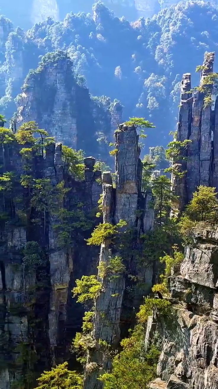Горы Аватара в Китае